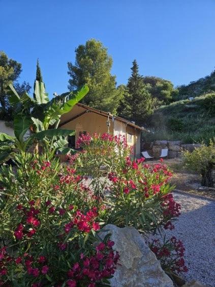 Hotel Domaine Du Chene Campagnan Esterno foto